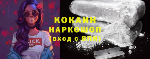 гашик Россошь