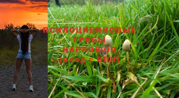 ПСИЛОЦИБИНОВЫЕ ГРИБЫ Сатка